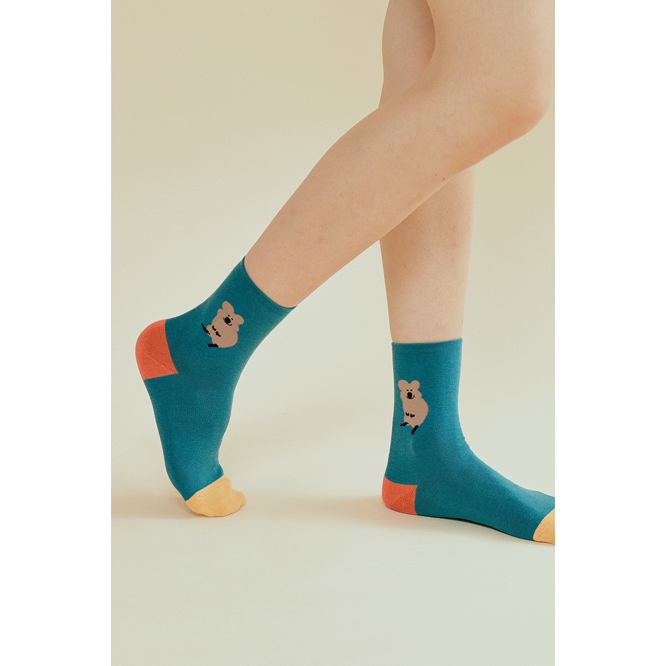 𝗣𝗲𝗻𝗻𝘆 𝗦𝘁𝘂𝗱𝗶𝗼韓國文創🇰🇷Quokka撞色襪子(9款)✔預購 ✈ 韓國襪子 中筒襪-細節圖3