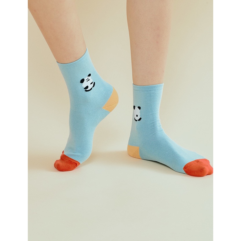 𝗣𝗲𝗻𝗻𝘆 𝗦𝘁𝘂𝗱𝗶𝗼韓國文創🇰🇷Dinotaeng BOBO拼色襪子(5款)✔預購 ✈-細節圖3