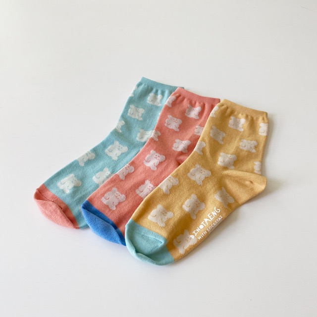 𝗣𝗲𝗻𝗻𝘆 𝗦𝘁𝘂𝗱𝗶𝗼韓國文創🇰🇷Dinotaeng BOBO拼色襪子(5款)✔預購 ✈-細節圖4