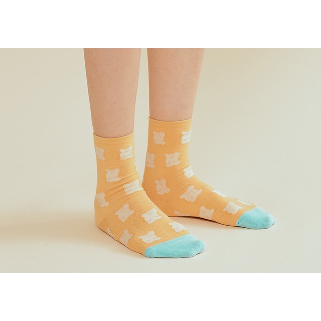 𝗣𝗲𝗻𝗻𝘆 𝗦𝘁𝘂𝗱𝗶𝗼韓國文創🇰🇷Dinotaeng BOBO拼色襪子(5款)✔預購 ✈-細節圖5