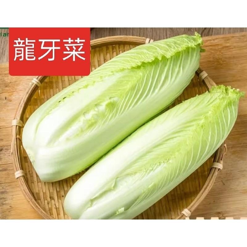 麗珍商行  剁椒魚  湖南永州特產 推薦-細節圖5