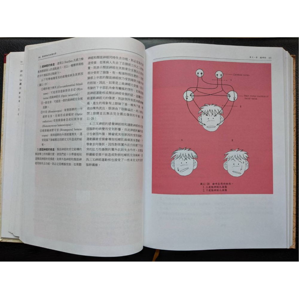 【二手】BSCP最新神經系統解剖學-細節圖2