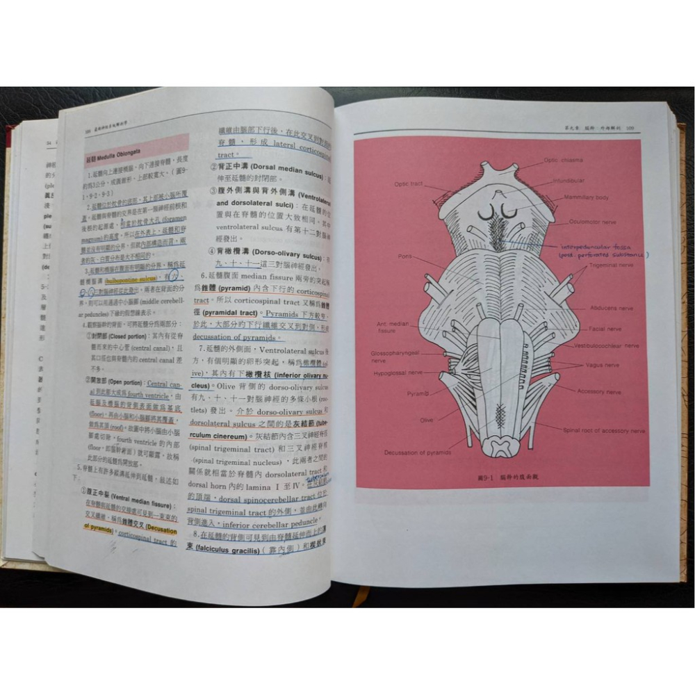 【二手】BSCP最新神經系統解剖學-細節圖4