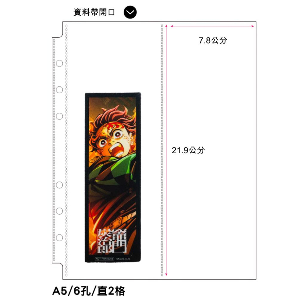 【麗莎小舖】A5 小卡收納冊 活頁卡冊內頁 2格 3格 4格 磨砂文件夾 小卡冊 小卡本 明星小卡 台灣製造-細節圖3