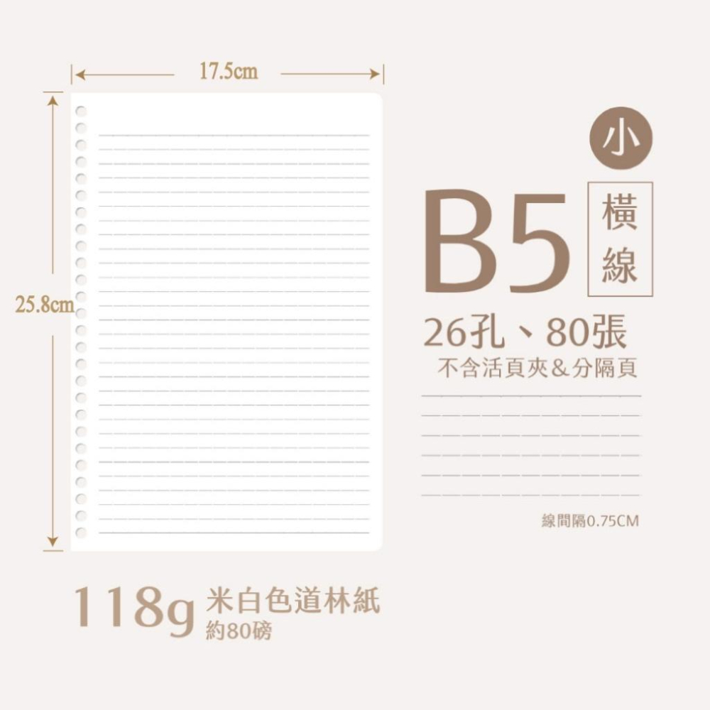 【麗莎小舖】26孔 B5 活頁紙►►80張裝 足80磅 原色道林紙 筆記本內頁-細節圖3