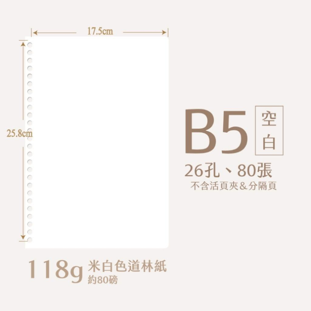 【麗莎小舖】26孔 B5 活頁紙►►80張裝 足80磅 原色道林紙 筆記本內頁-細節圖5