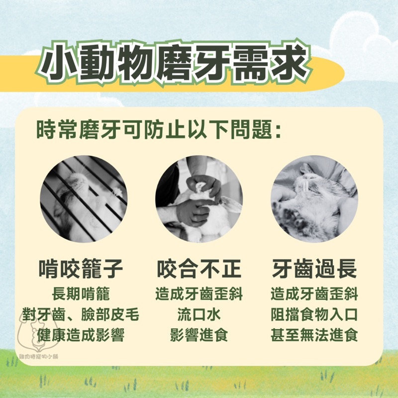 (快速現貨/天然無色素)小寵玩具 小寵磨牙 絲瓜絡片 倉鼠磨牙 鸚鵡玩具 兔子磨牙 龍貓磨牙 小寵零食 草本零食-細節圖4