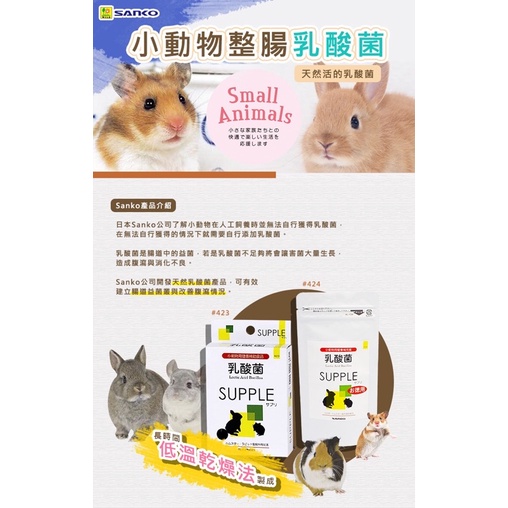 (台灣現貨/分裝)Sanko 品高 小動物酵素錠 倉鼠乳酸菌 木瓜酵素兔子 倉鼠維他命C 倉鼠保健食品 兔子保健-細節圖3