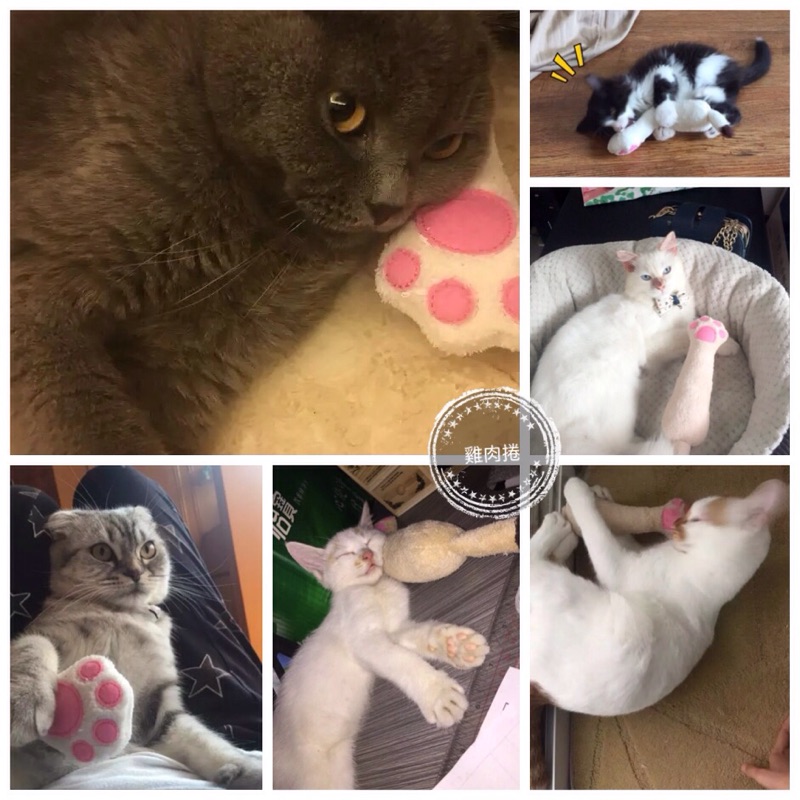 (快速現貨)日本Kojima 萌系貓掌 貓肉球貓薄荷玩具 貓草抱枕 貓草玩具-細節圖2
