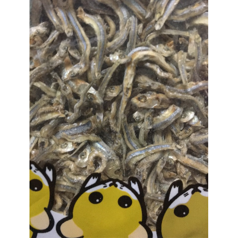 (快速現貨/日本)SUDO 成鼠專用小魚乾 30/60g 倉鼠零食 黃金鼠零食-細節圖3