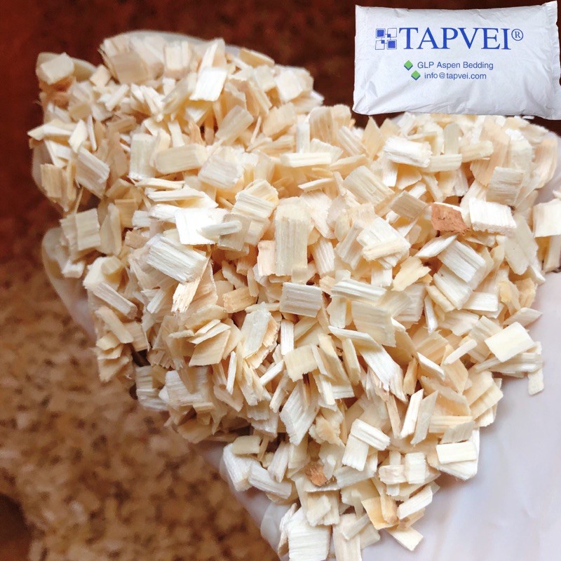 (快速現貨/芬蘭)TAPVEI 實驗室低塵白楊木屑 白楊木木片 倉鼠/黃金鼠/爬蟲類墊料