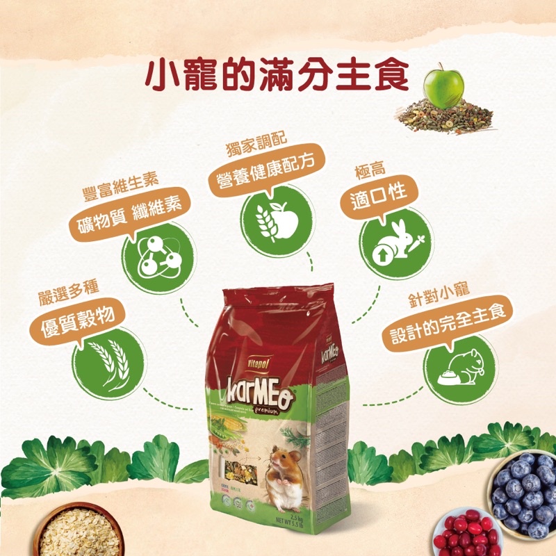 (快速現貨/波蘭)Vitapol 營養滿點愛鼠主食 400g 倉鼠飼料 鼠飼料 黃金鼠飼料 倉鼠主食 倉鼠主食飼料-細節圖2