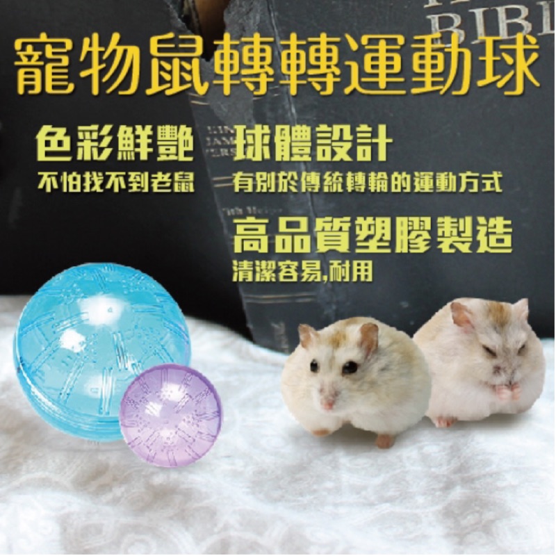 (快速現貨)台灣製 Acepet 13cm 倉鼠運動跑球 倉鼠跑球/跑輪