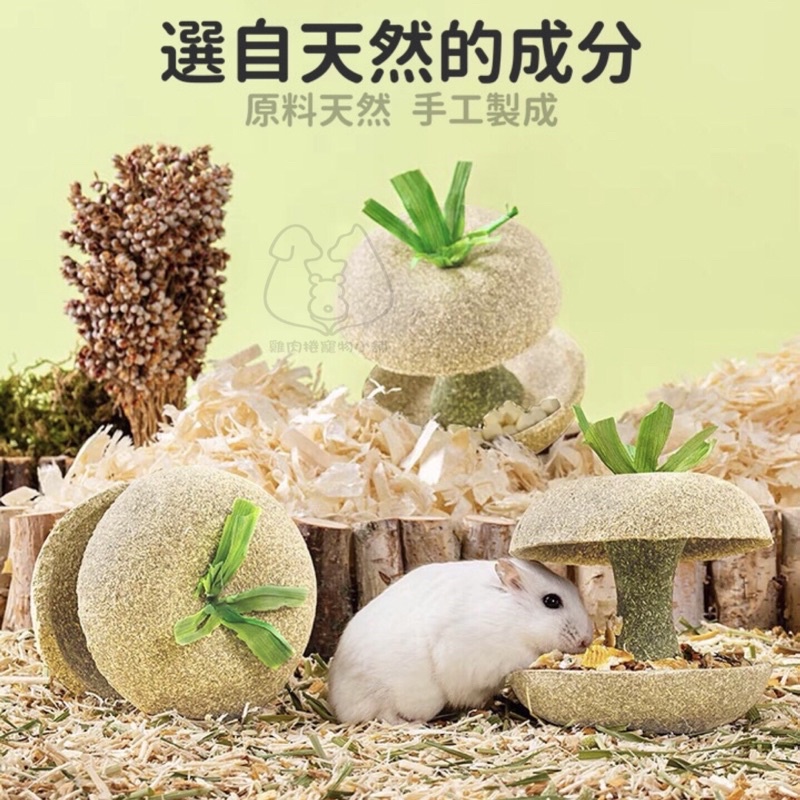 (快速現貨/牧草製成)Carno 牛頓的蘋果核 倉鼠造景 倉鼠食盆 倉鼠飼料盆 倉鼠用品 黃金鼠用品 倉鼠玩具-細節圖2