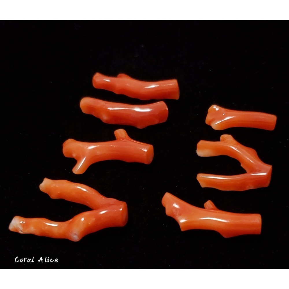 🌟Coral珊寶手作-天然阿卡珊瑚自然枝段(無孔) CO2P1-188-細節圖5