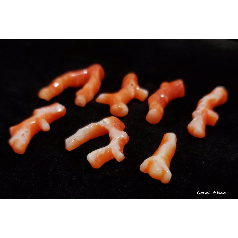 🌟Coral珊寶手作-天然阿卡珊瑚自然枝段(無孔) CO2P1-188-細節圖7