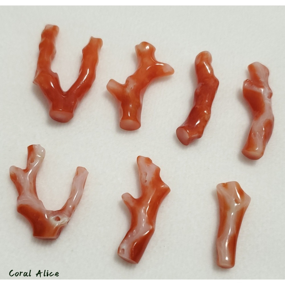 🌟Coral珊寶手作-天然阿卡珊瑚自然枝段(無孔) CO2P1-188-細節圖10