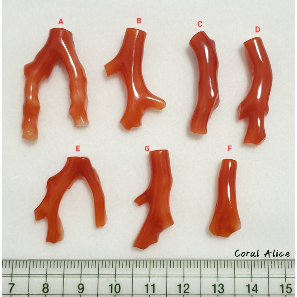 🌟Coral珊寶手作-天然阿卡珊瑚自然枝段(無孔) CO2P1-188-細節圖11