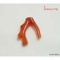 🌟Coral珊寶手作-天然阿卡珊瑚自然枝段(無孔) CO2P1-188-規格圖11