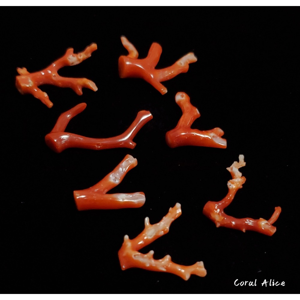 🌟Coral珊寶手作-天然阿卡珊瑚/紅珊瑚自然枝(無孔) CO2P1-190-細節圖6