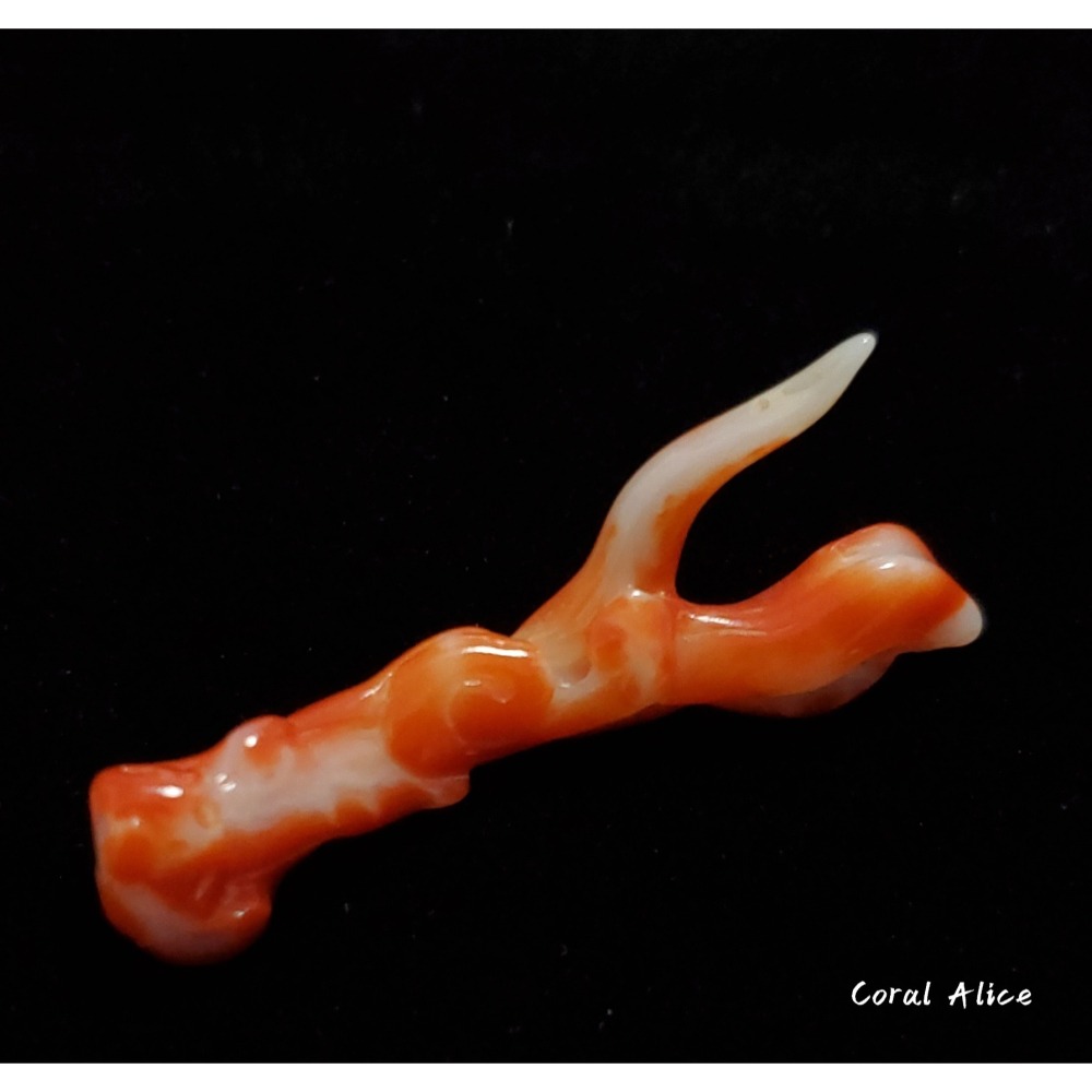 🌟Coral珊寶手作-天然阿卡珊瑚手工刻花(無孔) 42.8mm CO2P1-191-細節圖5