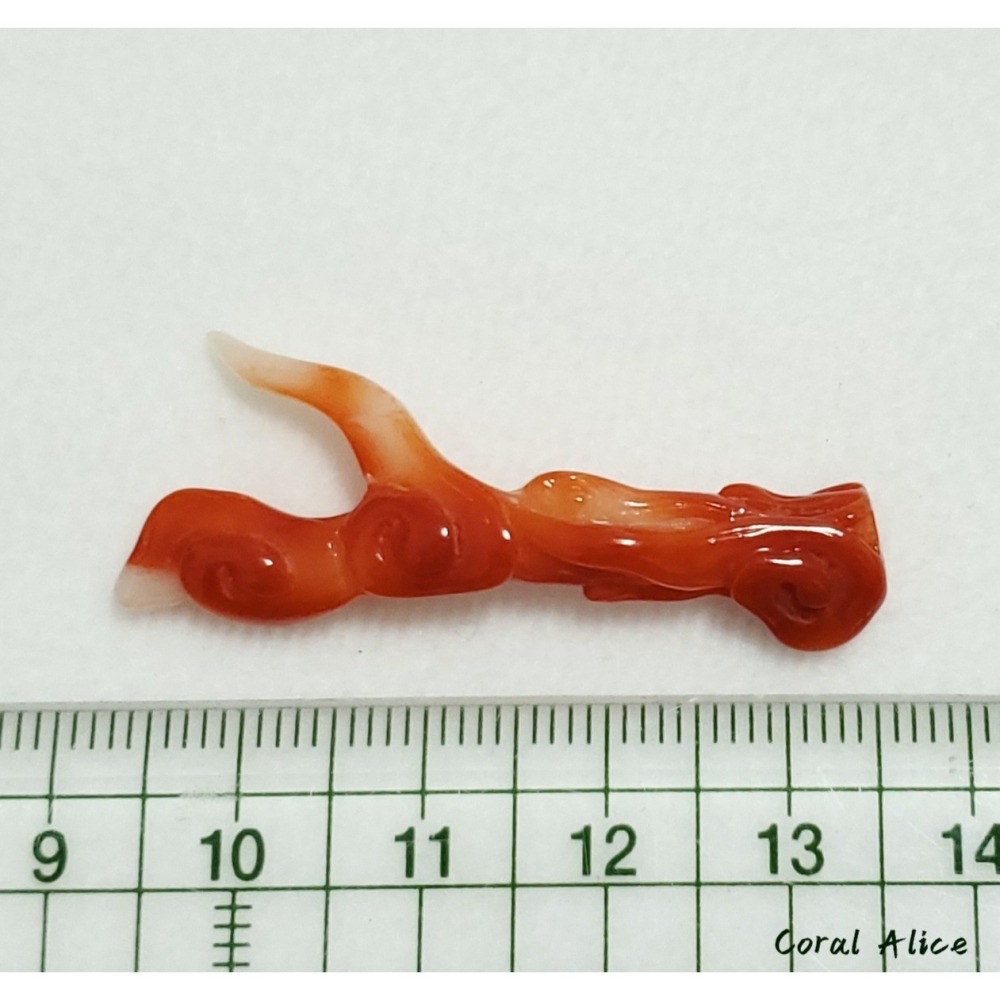 🌟Coral珊寶手作-天然阿卡珊瑚手工刻花(無孔) 42.8mm CO2P1-191-細節圖9