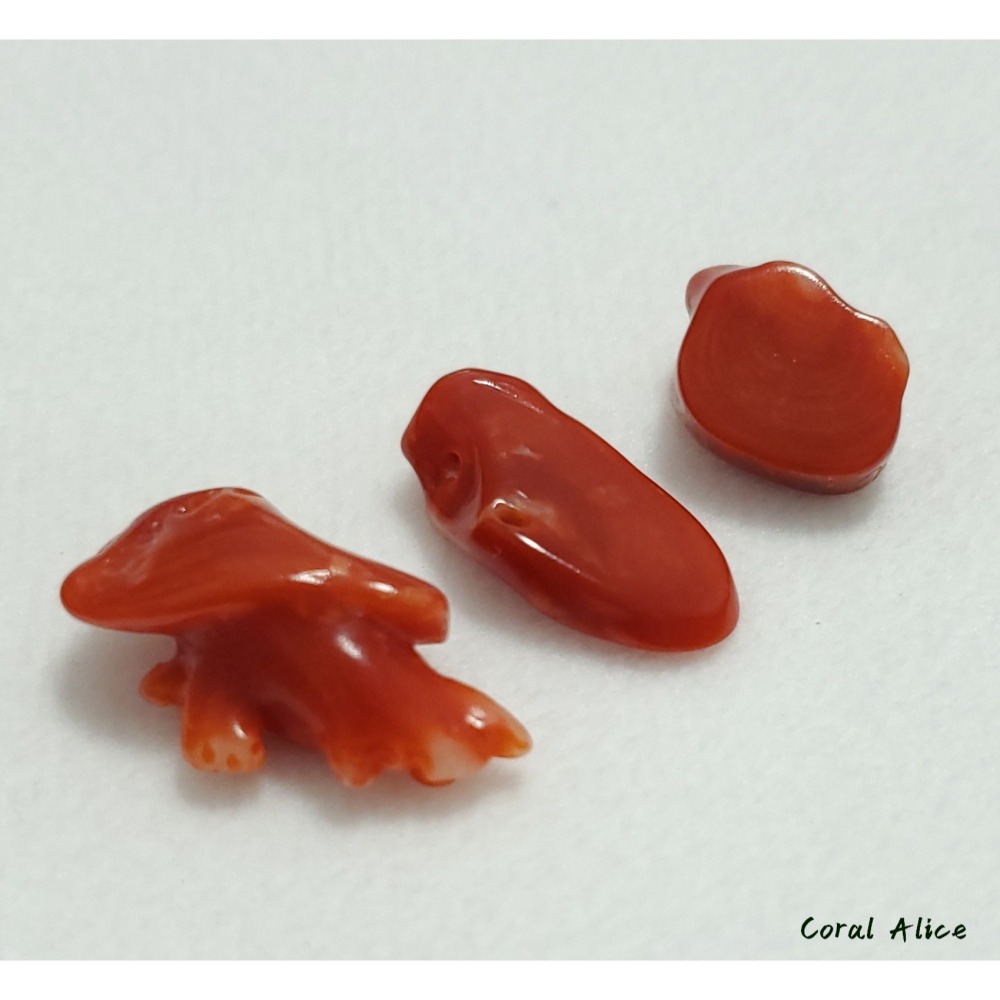 🌟Coral珊寶手作-天然阿卡珊瑚裸石塊(無孔) CO2P1-192-細節圖9