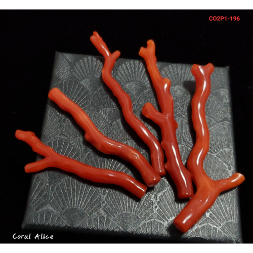 🌟Coral珊寶手作-天然阿卡珊瑚/紅珊瑚自然枝(無孔) CO2P1-196