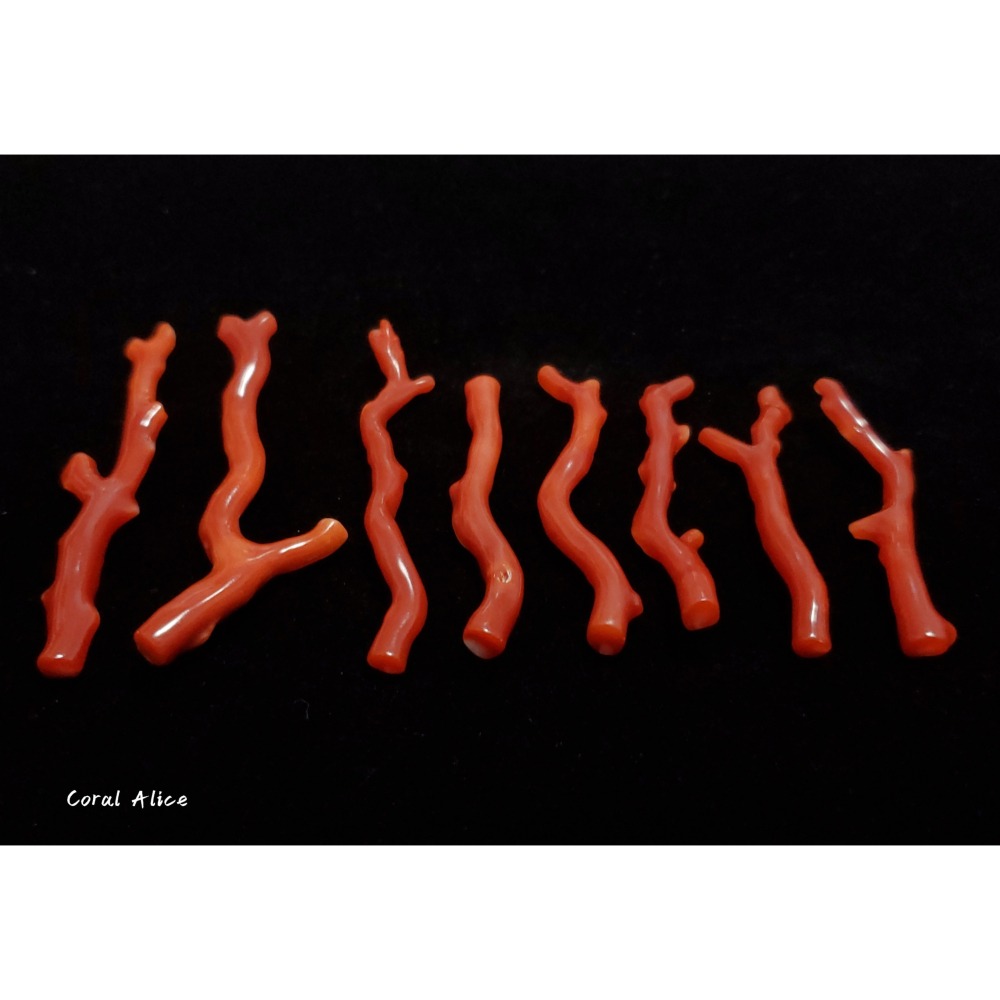 🌟Coral珊寶手作-天然阿卡珊瑚/紅珊瑚自然枝(無孔) CO2P1-196-細節圖4