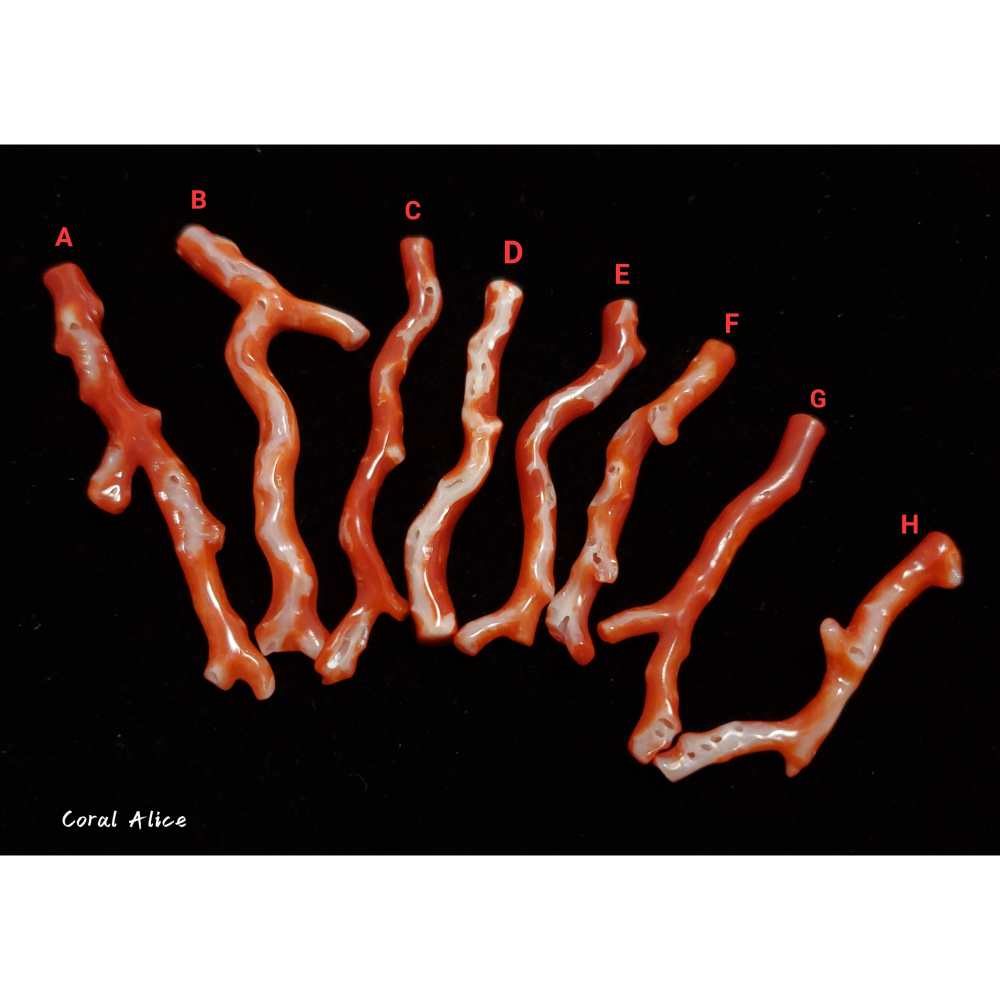 🌟Coral珊寶手作-天然阿卡珊瑚/紅珊瑚自然枝(無孔) CO2P1-196-細節圖5