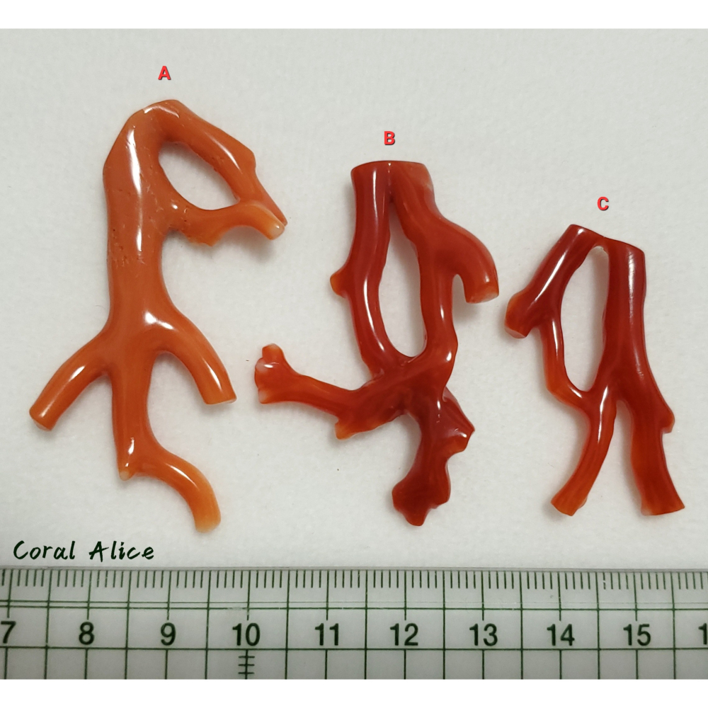 🌟Coral珊寶手作-天然特殊造型阿卡珊瑚/momo珊瑚自然枝(無孔) CO2P1-187-細節圖10