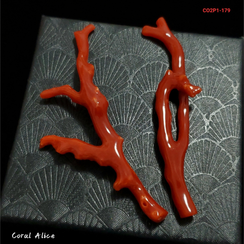 🌟Coral珊寶手作-天然阿卡珊瑚/紅珊瑚自然枝(無孔) CO2P1-179
