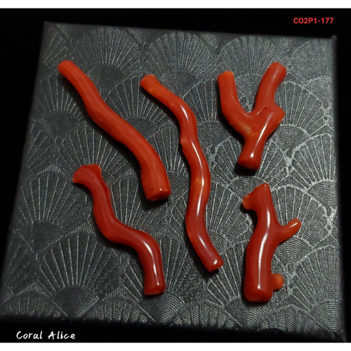 🌟Coral珊寶手作-天然阿卡珊瑚/紅珊瑚自然枝(無孔) 24.6-50.1mm CO2P1-177