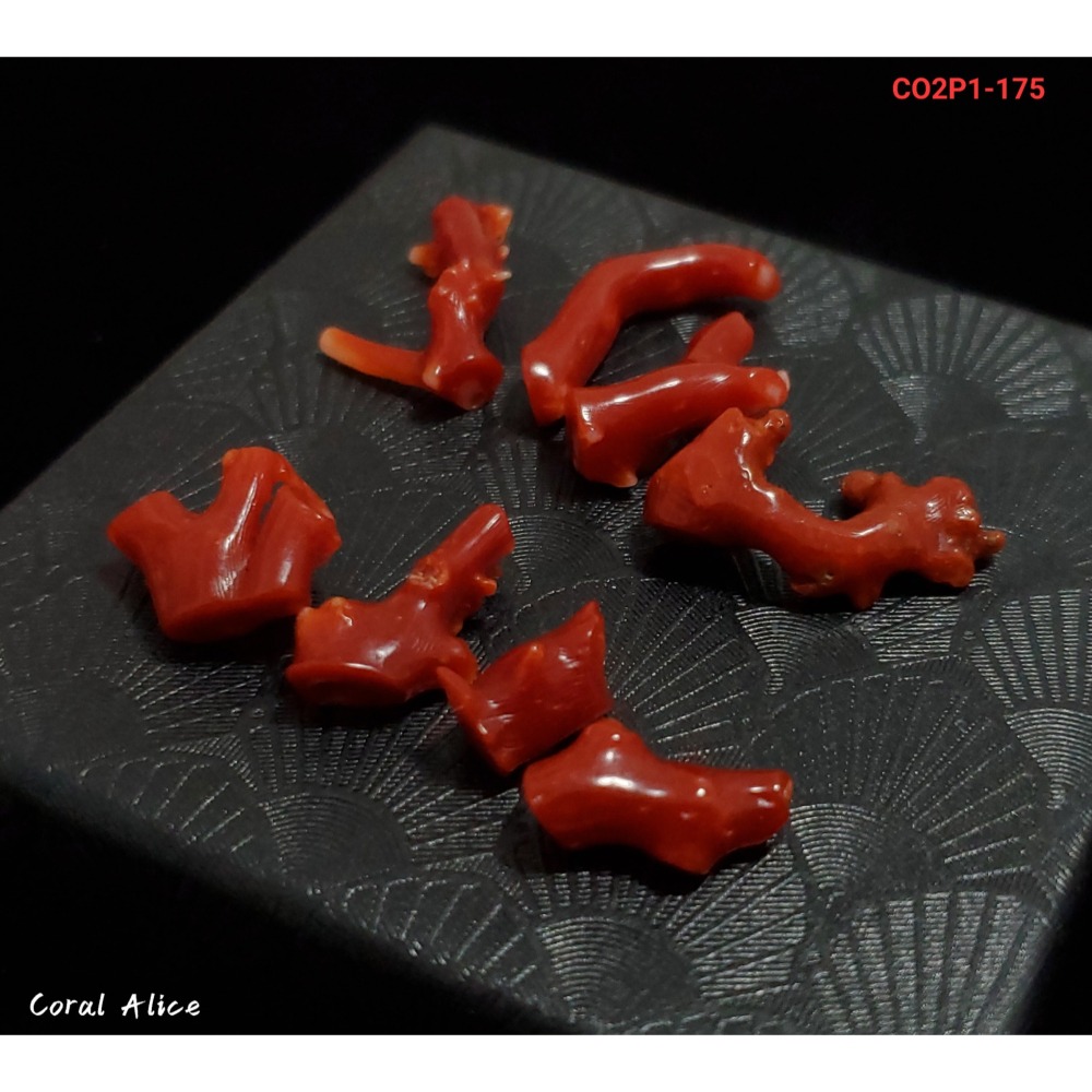 🌟Coral珊寶手作-天然阿卡珊瑚/紅珊瑚/赤血珊瑚自然枝段(無孔) CO2P1-175-細節圖2