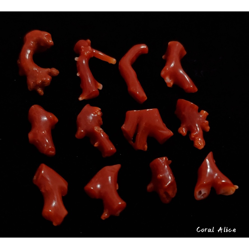 🌟Coral珊寶手作-天然阿卡珊瑚/紅珊瑚/赤血珊瑚自然枝段(無孔) CO2P1-175-細節圖5