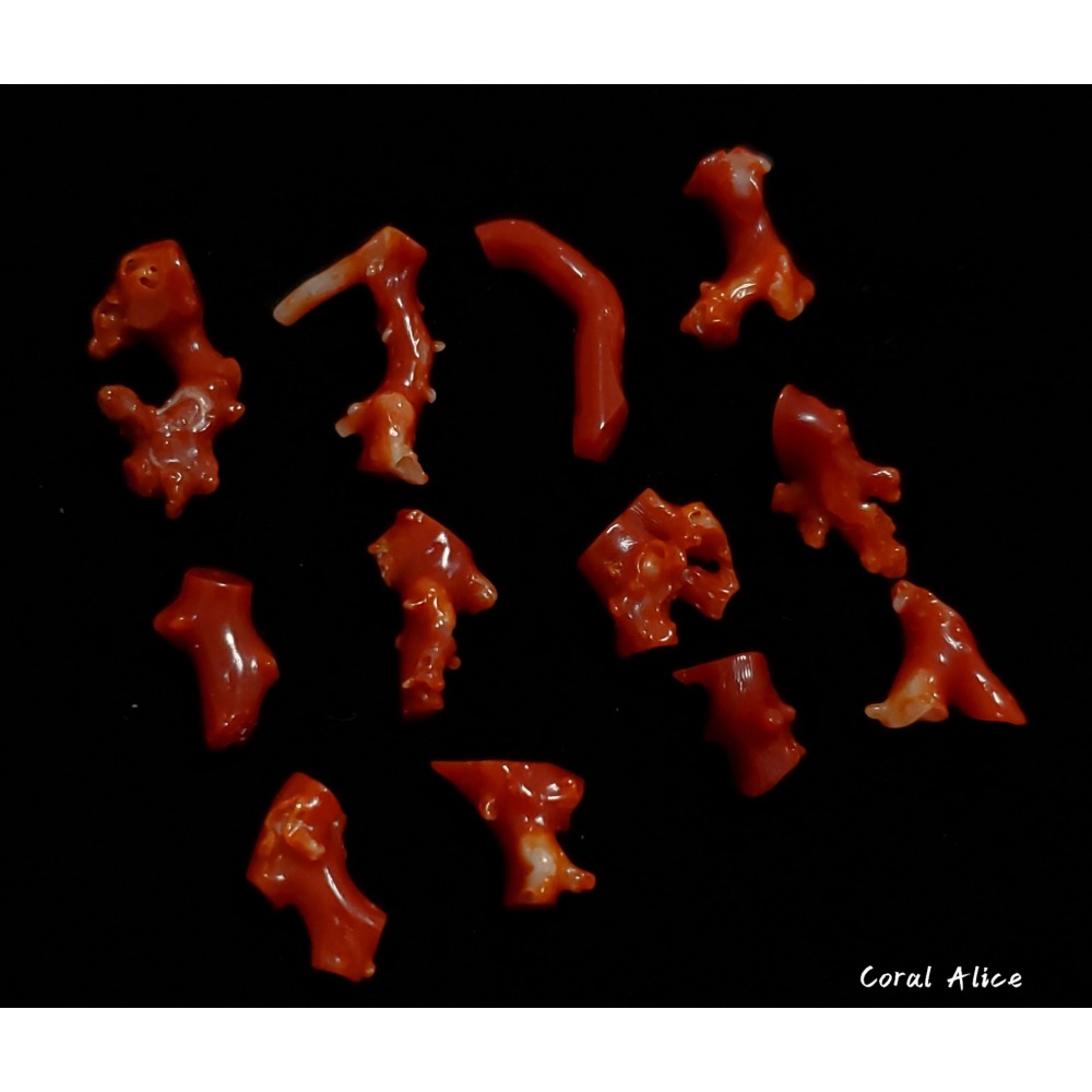 🌟Coral珊寶手作-天然阿卡珊瑚/紅珊瑚/赤血珊瑚自然枝段(無孔) CO2P1-175-細節圖6
