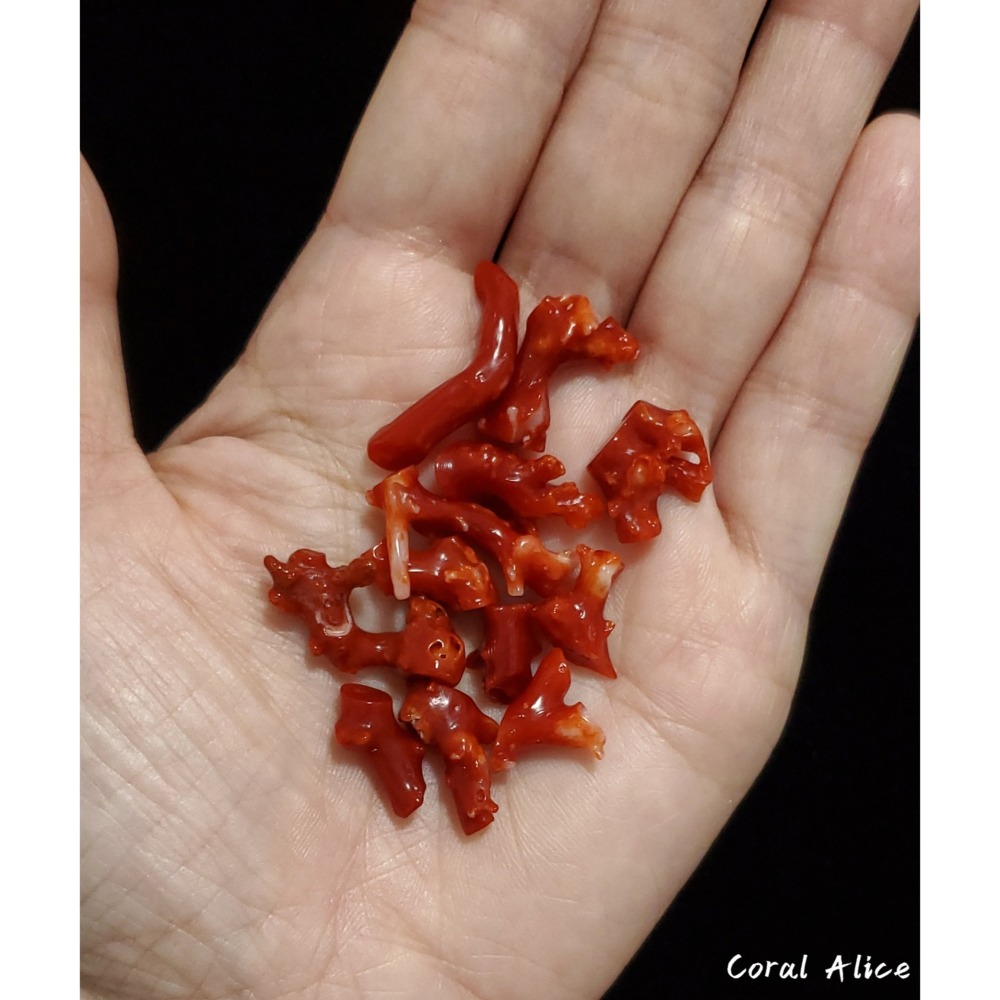 🌟Coral珊寶手作-天然阿卡珊瑚/紅珊瑚/赤血珊瑚自然枝段(無孔) CO2P1-175-細節圖7