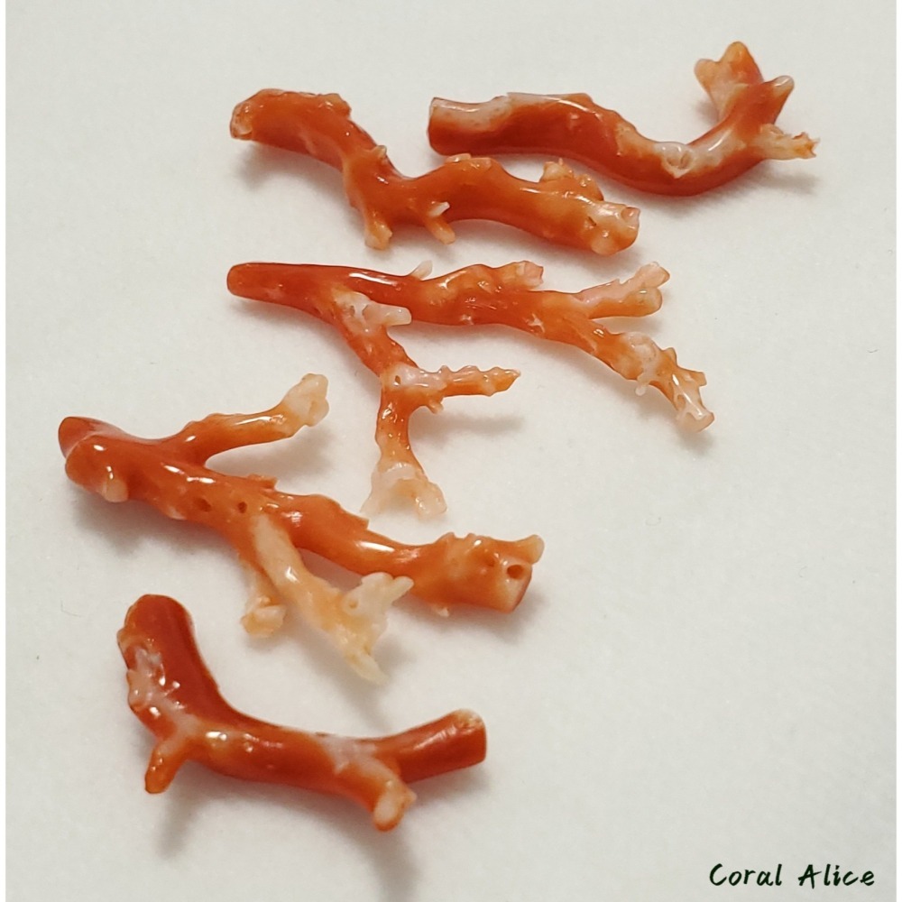 🌟Coral珊寶手作-天然阿卡珊瑚/紅珊瑚自然枝 CO2P1-163-細節圖10