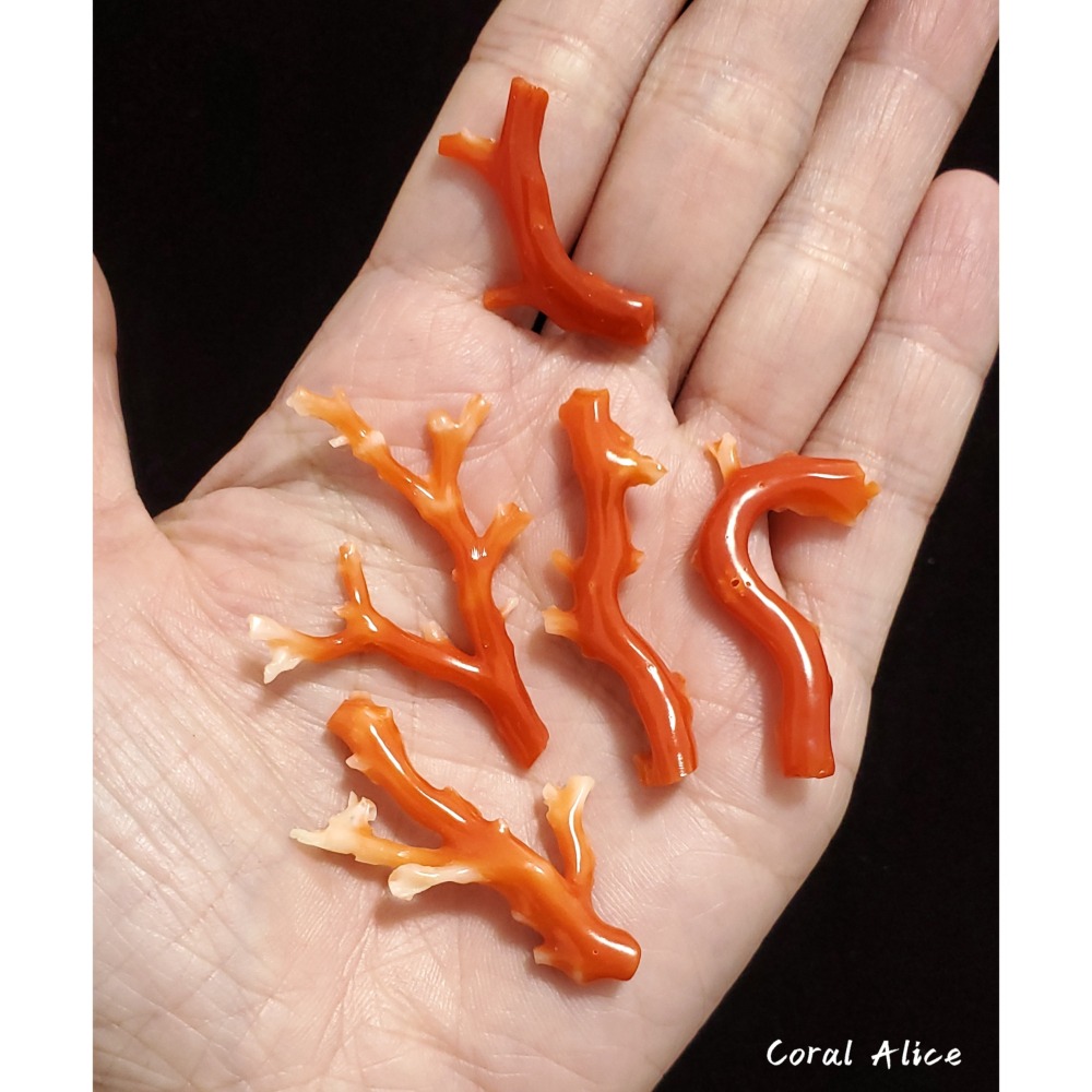 天然珊瑚　れいこ 流】天然珊瑚 極太枝珊瑚 重量564g TT549