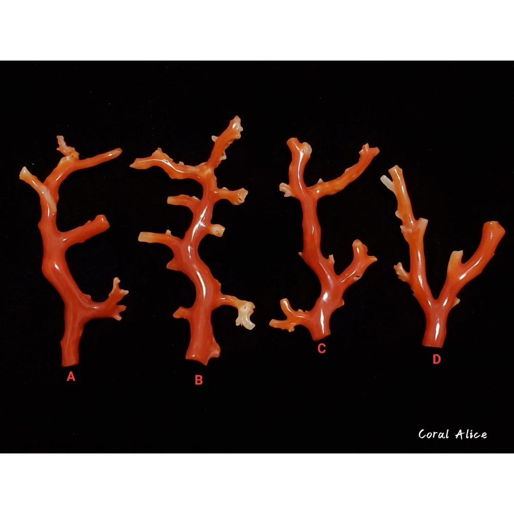 🌟Coral珊寶手作-天然阿卡珊瑚自然枝(無孔) 43.9-57.6mm CO2P1-158-細節圖5