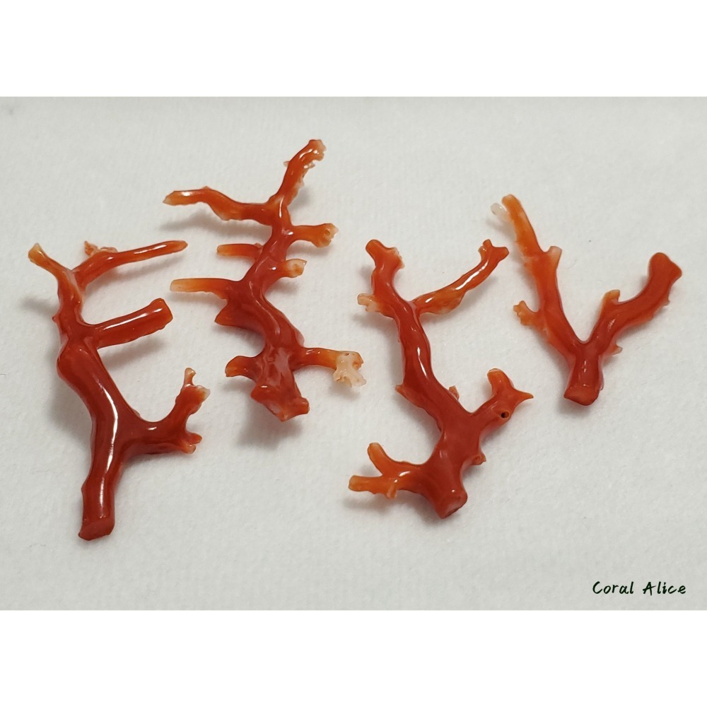 🌟Coral珊寶手作-天然阿卡珊瑚自然枝(無孔) 43.9-57.6mm CO2P1-158-細節圖10