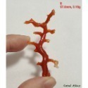 🌟Coral珊寶手作-天然阿卡珊瑚自然枝(無孔) 43.9-57.6mm CO2P1-158-規格圖11
