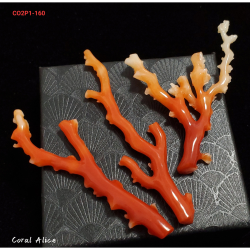 Coral珊寶手作-天然阿卡珊瑚自然枝(無打孔已拋光) 65.2-80.9mm CO2P1-160