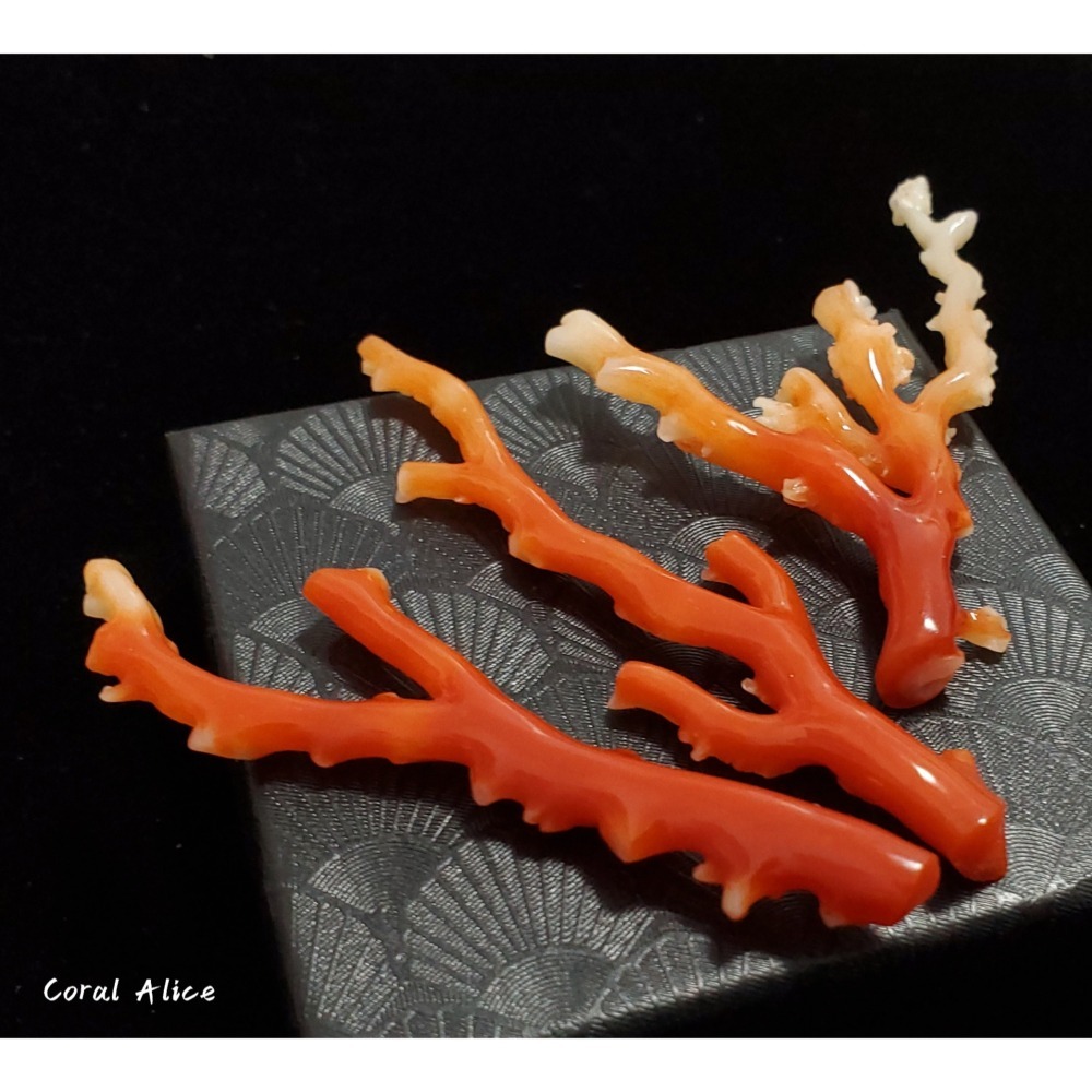 🌟Coral珊寶手作-天然阿卡珊瑚自然枝(無打孔已拋光) 65.2-80.9mm CO2P1-160-細節圖2