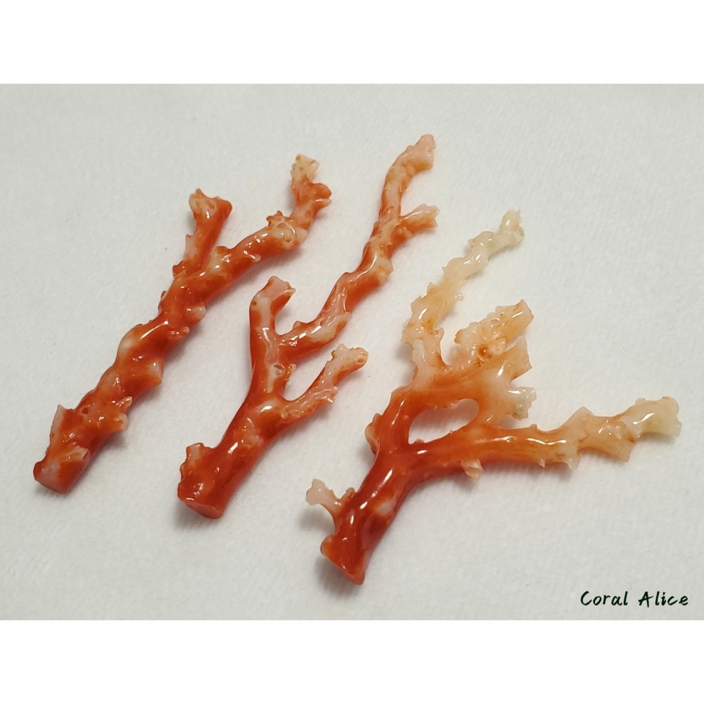 🌟Coral珊寶手作-天然阿卡珊瑚自然枝(無打孔已拋光) 65.2-80.9mm CO2P1-160-細節圖9