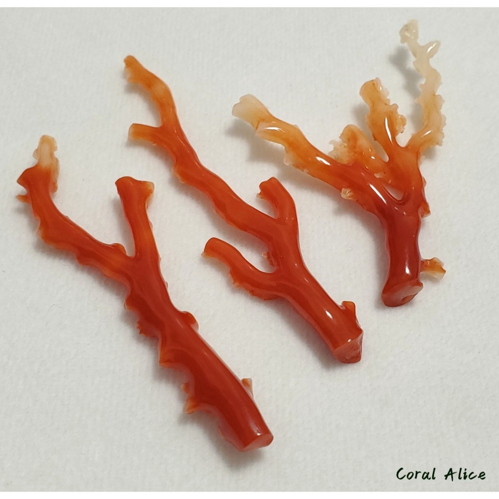 🌟Coral珊寶手作-天然阿卡珊瑚自然枝(無打孔已拋光) 65.2-80.9mm CO2P1-160-細節圖10