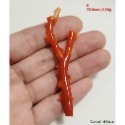 🌟Coral珊寶手作-天然阿卡珊瑚自然枝(無打孔已拋光) 65.2-80.9mm CO2P1-160-規格圖11