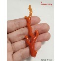 🌟Coral珊寶手作-天然阿卡珊瑚自然枝(無打孔已拋光) 65.2-80.9mm CO2P1-160-規格圖11