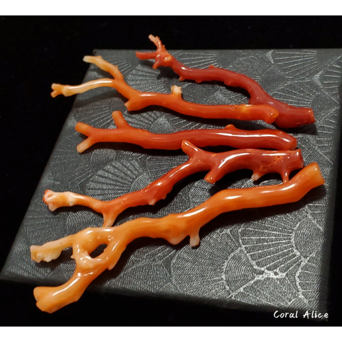 🌟Coral珊寶手作-天然阿卡珊瑚紅珊瑚自然枝(無孔)58.7-68.6mm CO2P1-159