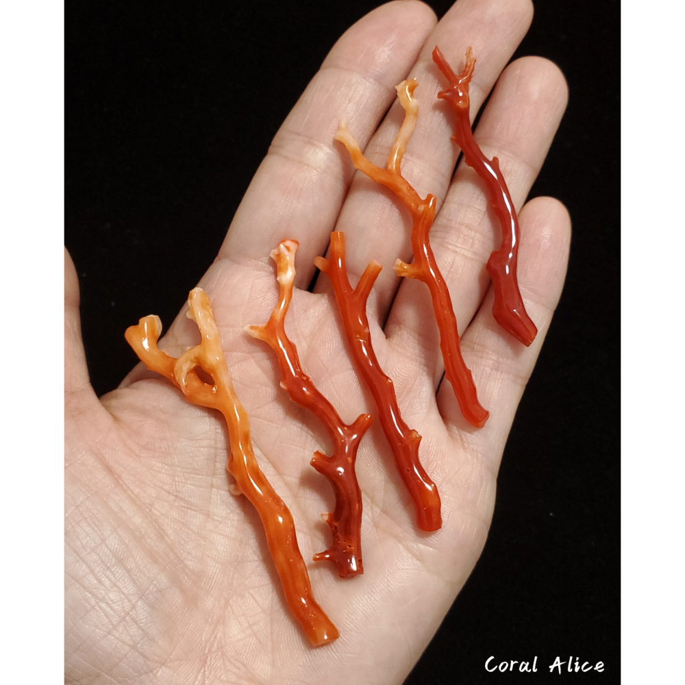 🌟Coral珊寶手作-天然阿卡珊瑚紅珊瑚自然枝(無孔)58.7-68.6mm CO2P1-159-細節圖6